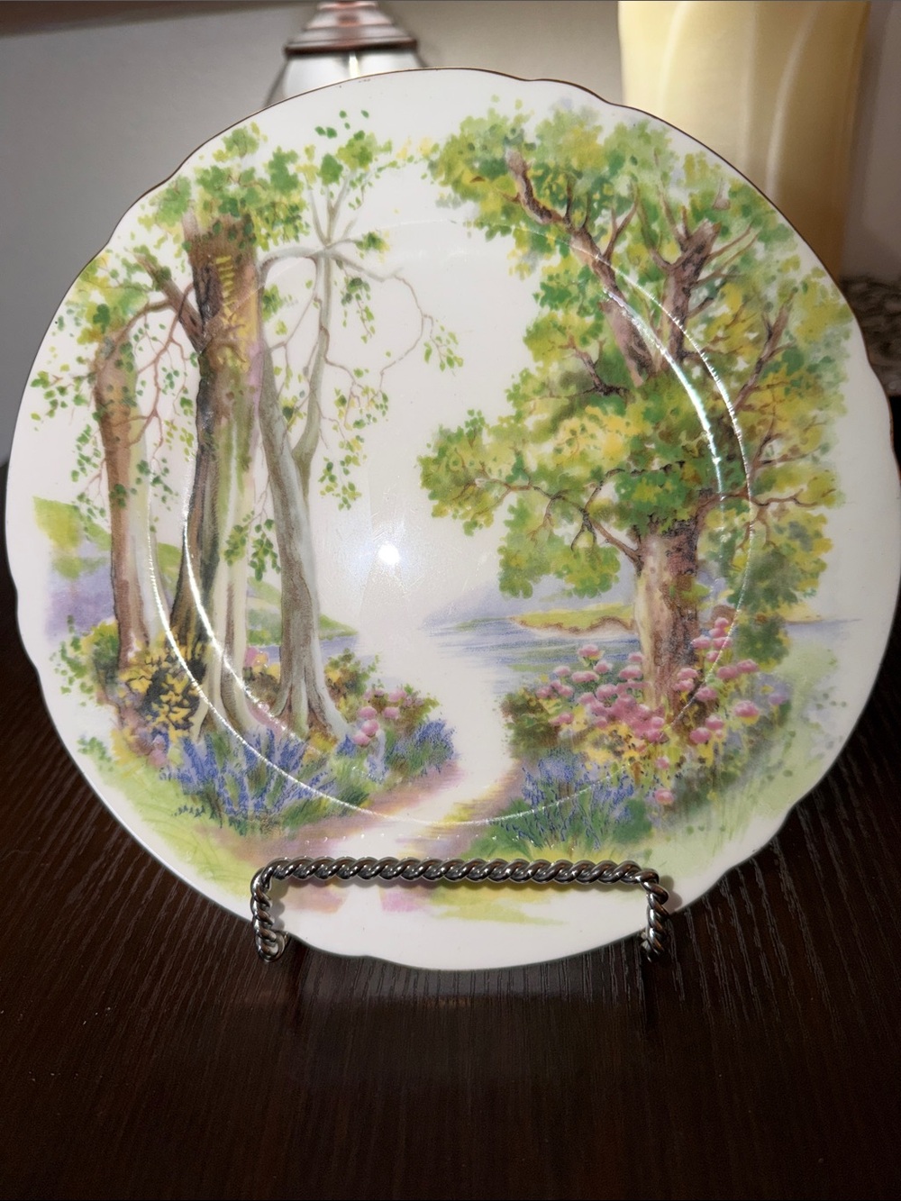 Vintage Shelley, Woodland Pattern Porcelain Plate, Richmond Shape.